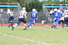 Enlarge photo 163
