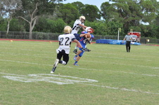 Enlarge photo 223