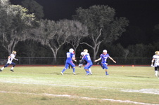 Enlarge photo 226