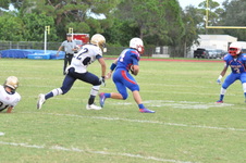 Enlarge photo 227