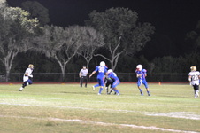 Enlarge photo 228