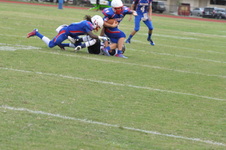 Enlarge photo 229