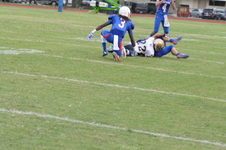 Enlarge photo 233
