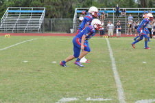 Enlarge photo 239