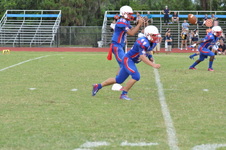 Enlarge photo 241