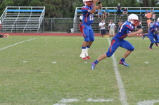Enlarge photo 243