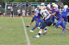 Enlarge photo 249