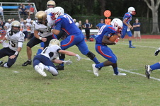 Enlarge photo 253
