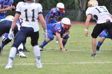 Enlarge photo 271