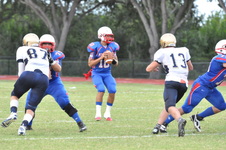 Enlarge photo 275