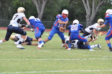 Enlarge photo 283