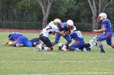 Enlarge photo 287