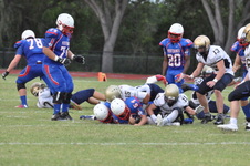 Enlarge photo 292