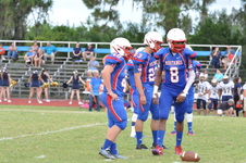 Enlarge photo 314