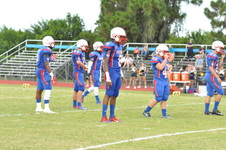 Enlarge photo 340