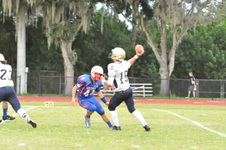 Enlarge photo 342