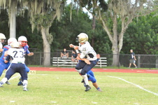 Enlarge photo 344