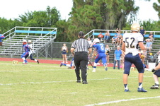 Enlarge photo 352