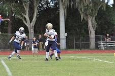 Enlarge photo 368