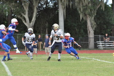 Enlarge photo 370