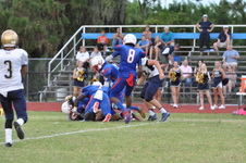 Enlarge photo 381