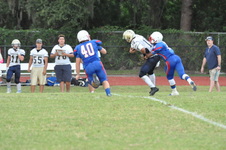 Enlarge photo 402