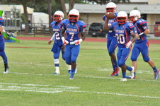 Enlarge photo 452