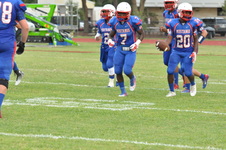 Enlarge photo 455