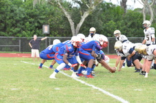 Enlarge photo 459