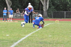 Enlarge photo 462