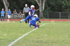 Enlarge photo 463
