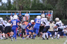 Enlarge photo 501