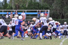Enlarge photo 502