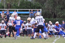 Enlarge photo 503
