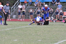 Enlarge photo 521