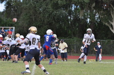 Enlarge photo 528