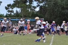 Enlarge photo 529