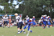 Enlarge photo 530