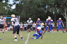 Enlarge photo 531
