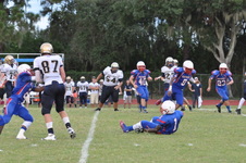 Enlarge photo 532