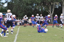 Enlarge photo 533