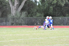 Enlarge photo 534