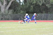Enlarge photo 535