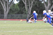 Enlarge photo 540