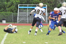 Enlarge photo 572