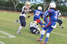 Enlarge photo 599
