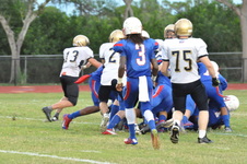 Enlarge photo 629