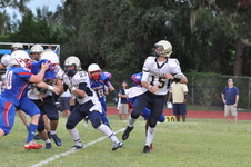 Enlarge photo 650