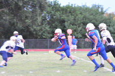 Enlarge photo 705