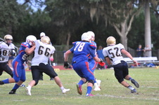 Enlarge photo 716